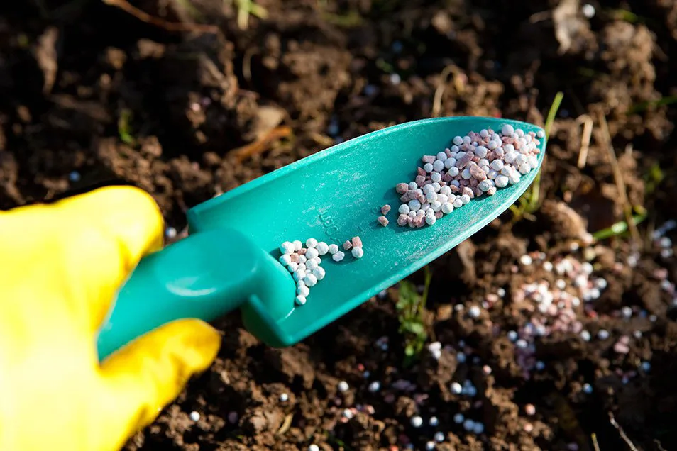 Prilled urea46 www.petrobon.com