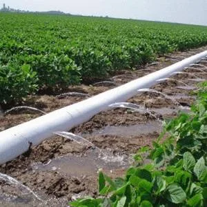 POLYETHYLENE CRP 100B JAMPETROCHEMICAL www.petrobon.com