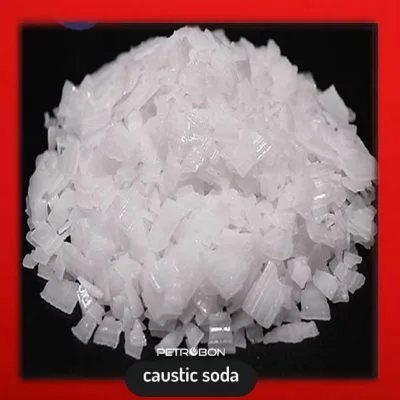 photo 2022 11 08 13 19 00